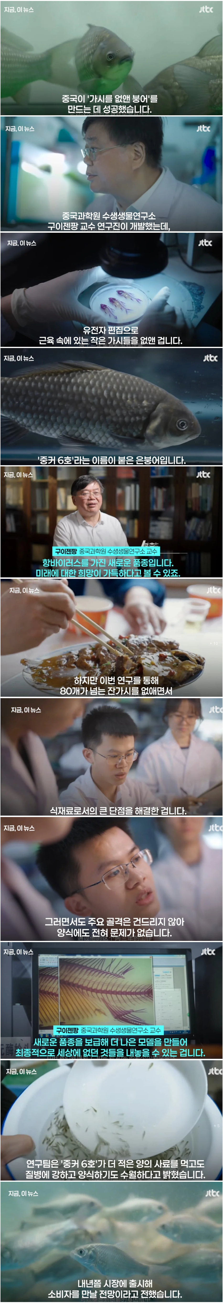 중국에서-개발한-잔가시-없는-붕어-.jpg-0-이미지