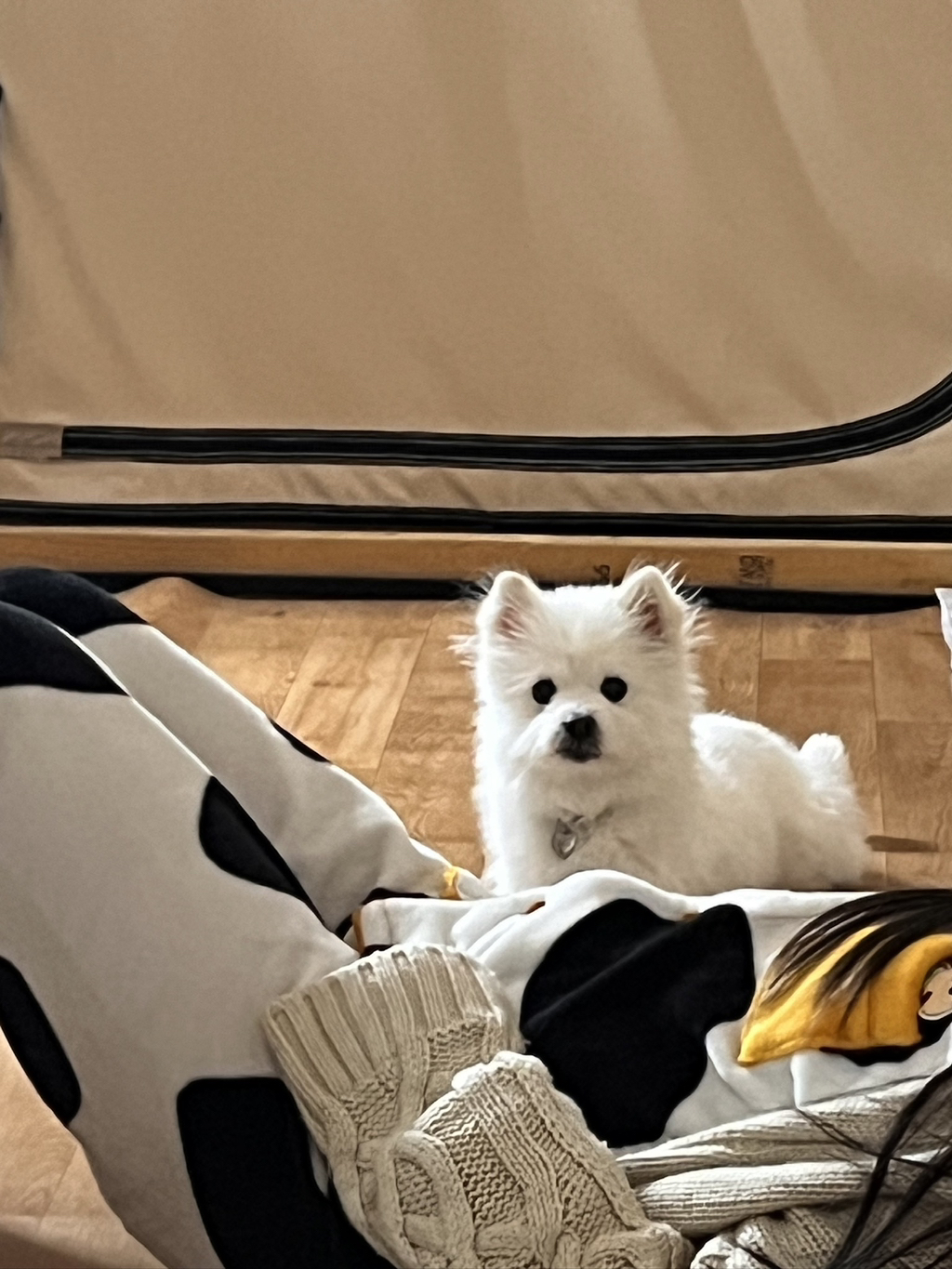 주댕이-털-면도했는데-이거-어캄?!!!-8-이미지