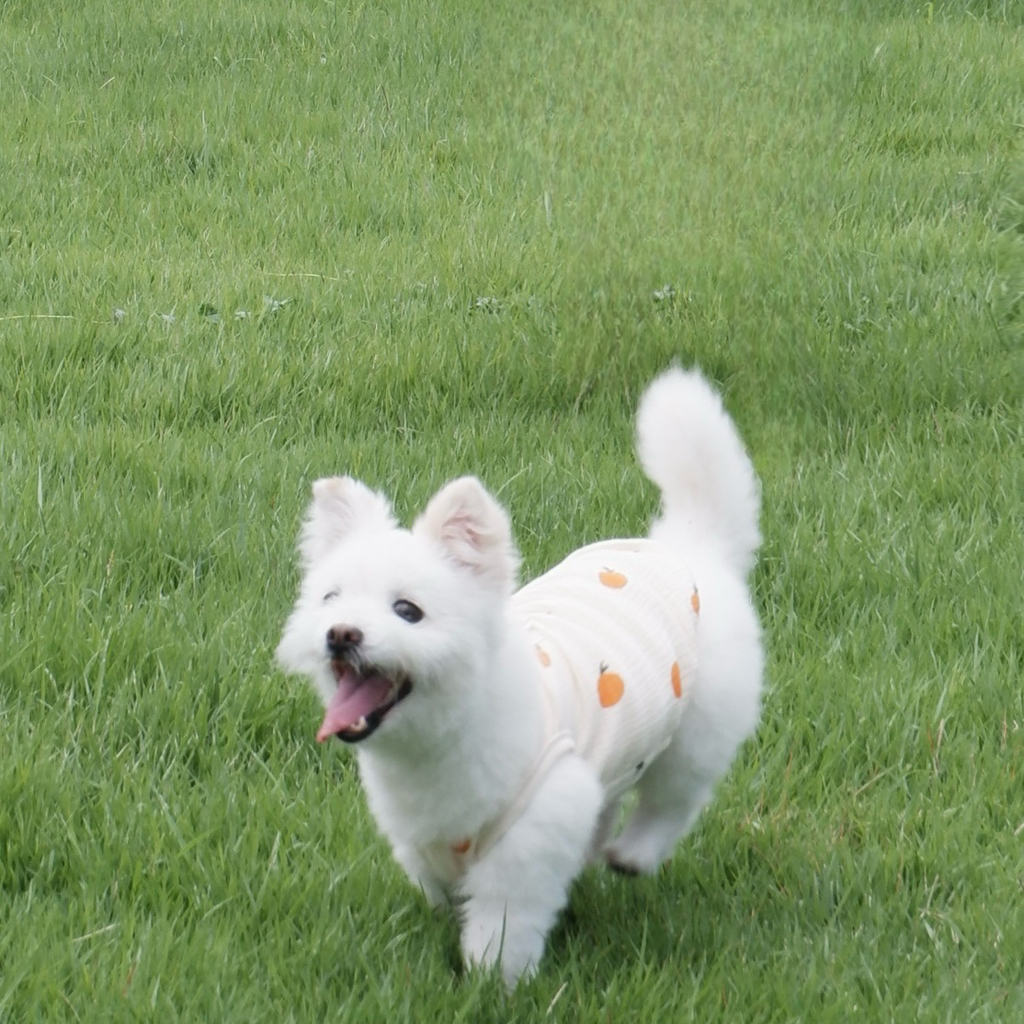 주댕이-털-면도했는데-이거-어캄?!!!-31-이미지