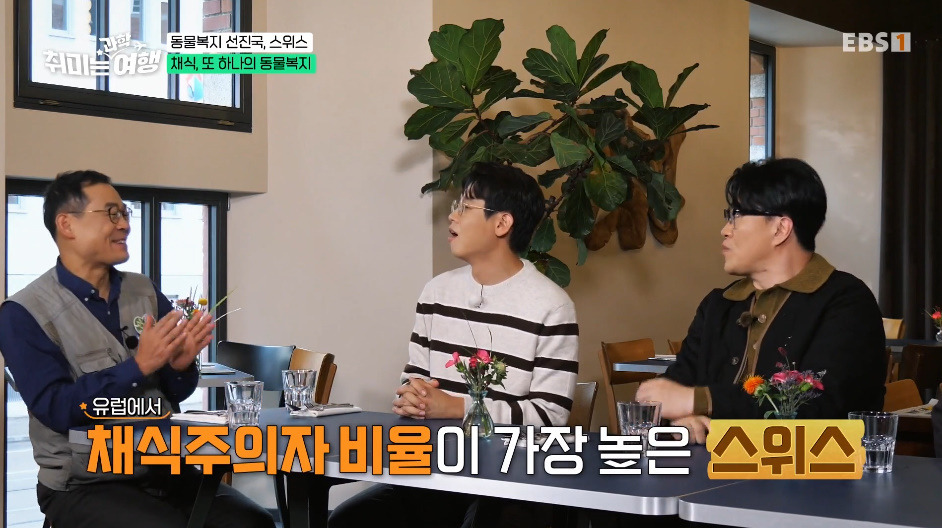 동물-키울거면-무조건-2마리-이상-키워야-한다는-나라.jpg-0-이미지