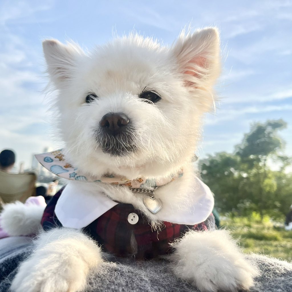 주댕이-털-면도했는데-이거-어캄?!!!-40-이미지