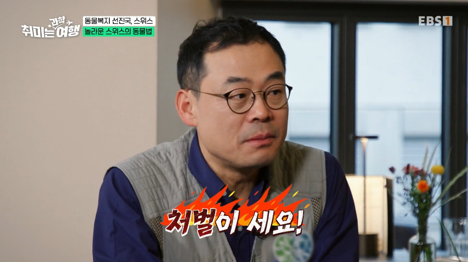 132년전부터-동물-무마취-도살법-등록했다는-스위스의-동물법.jpg-10-이미지