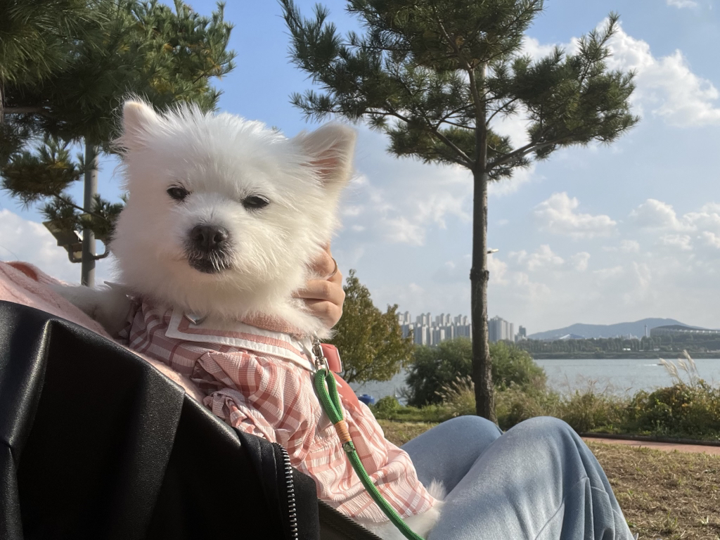 주댕이-털-면도했는데-이거-어캄?!!!-10-이미지