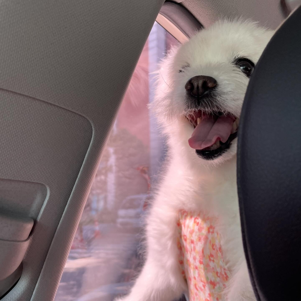 주댕이-털-면도했는데-이거-어캄?!!!-42-이미지