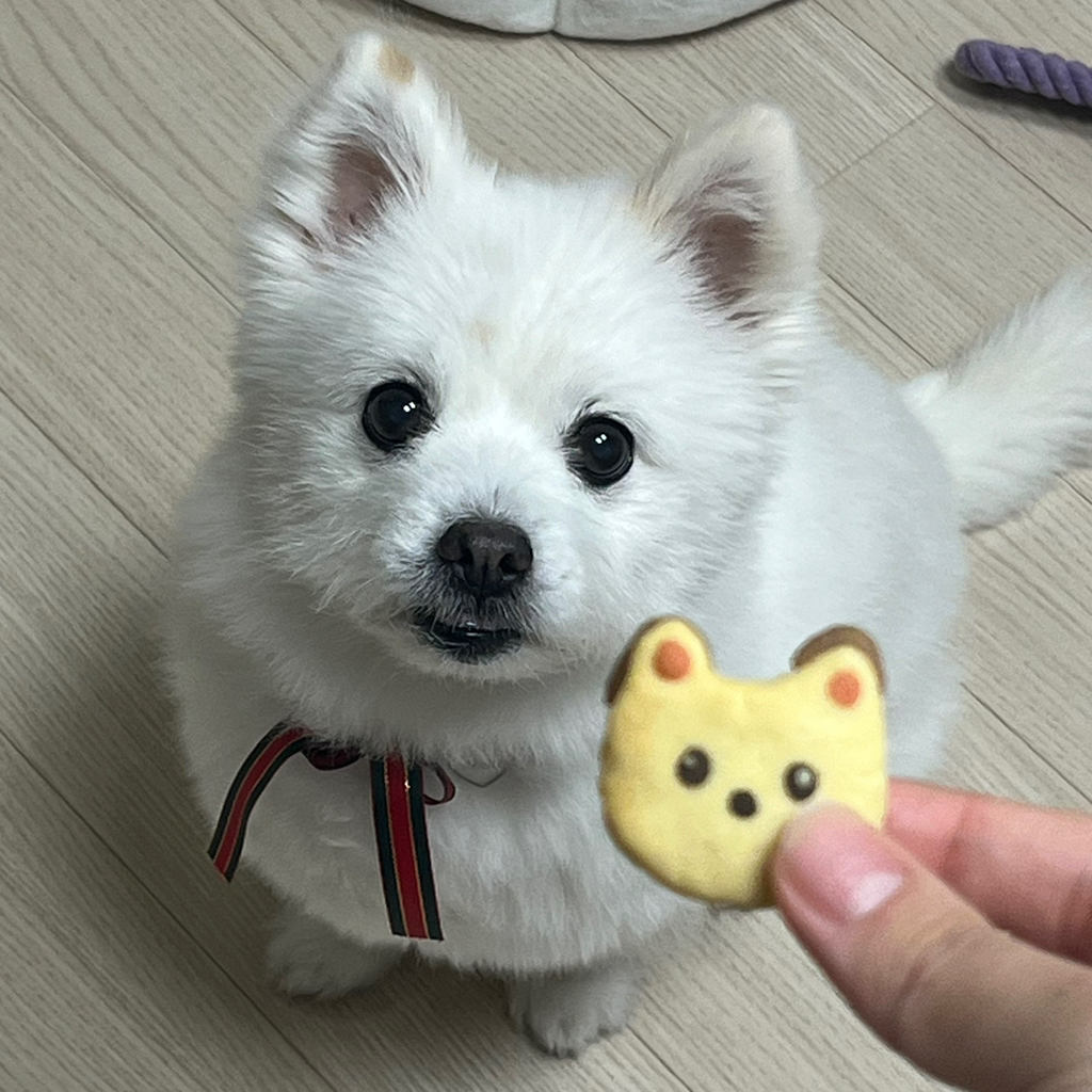 주댕이-털-면도했는데-이거-어캄?!!!-5-이미지