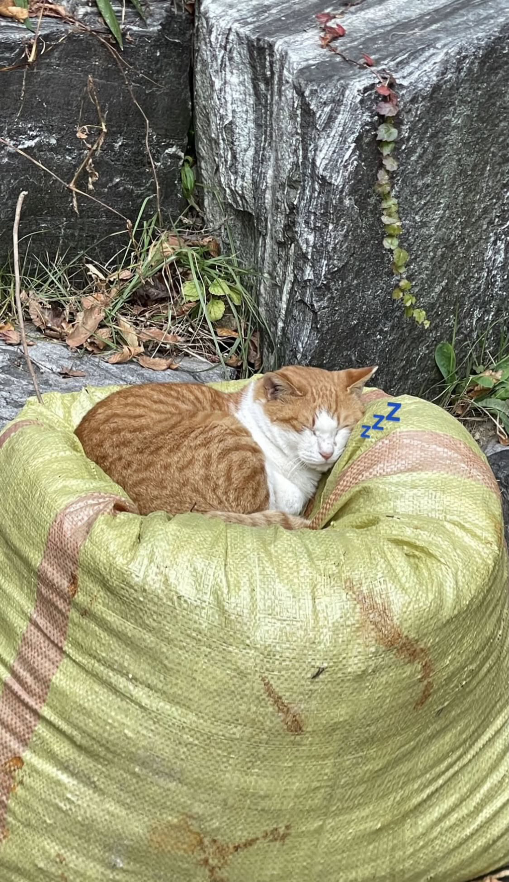 친환경-빈백.jpg-1-이미지