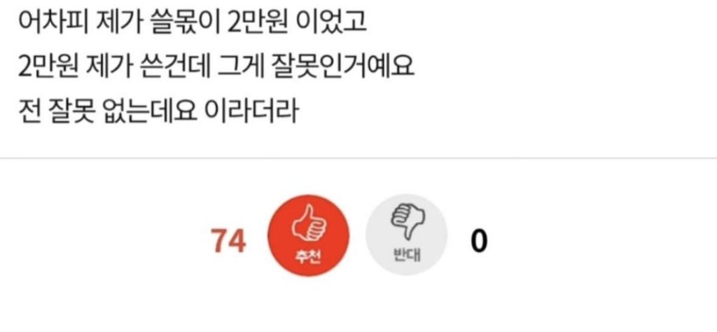 막내직원이-법인카드로-장봤음-2-이미지