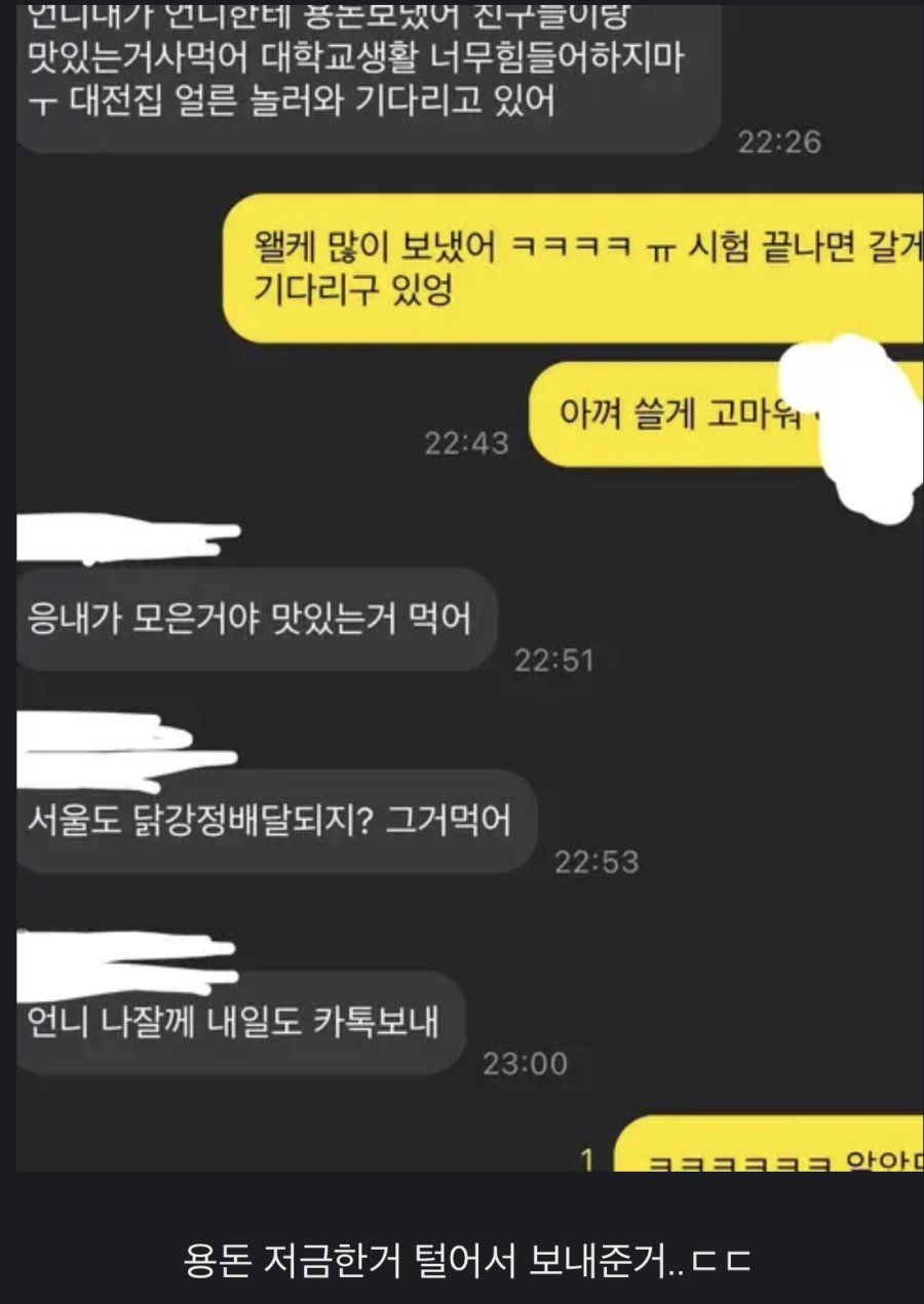 대학생-언니가-걱정돼서-용돈-보내준-초등학생-동생-1-이미지