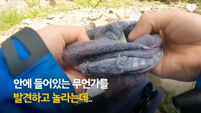 며칠-째-냇가에-방치된-가방,-수상한-느낌에-열어-보니..-21-이미지