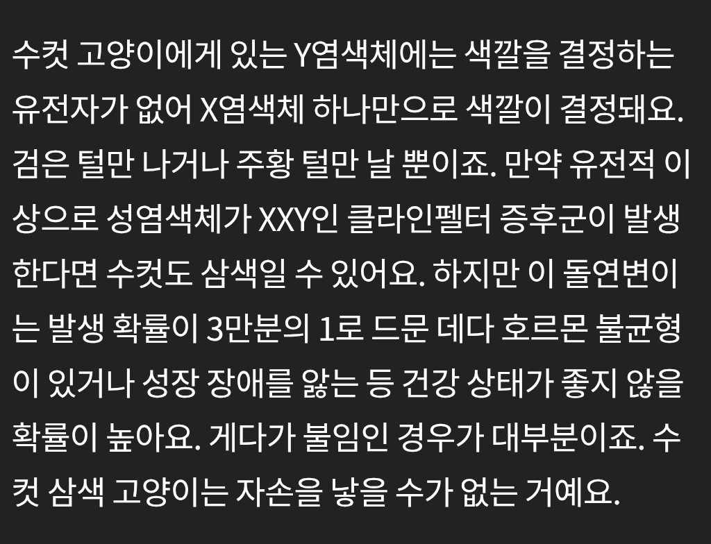 코숏-대중적-인기-vs-덕후픽-🐱-10-이미지