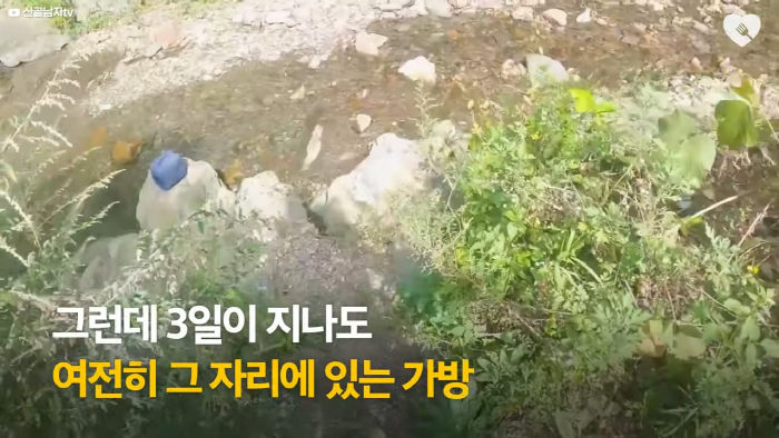 며칠-째-냇가에-방치된-가방,-수상한-느낌에-열어-보니..-10-이미지