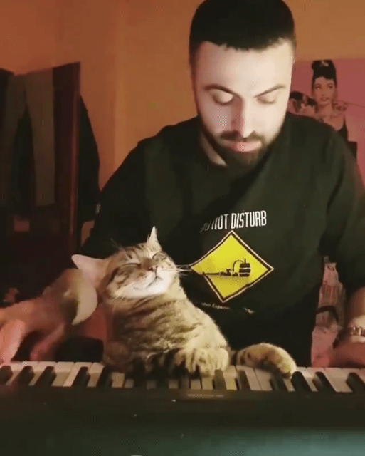 털보인간과-고양이..-고양이-진짜-행복해-보임-0-이미지