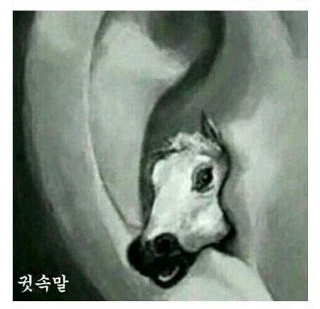말띠-해가-얼마나-재미난지-아십니까?-18-이미지