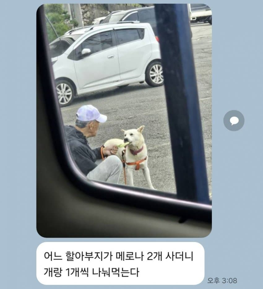 강아지에게-메로나-먹이는-할아버지-0-이미지