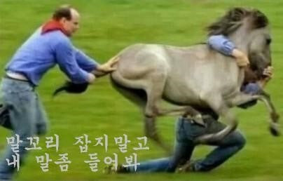 말띠-해가-얼마나-재미난지-아십니까?-9-이미지