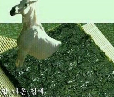 말띠-해가-얼마나-재미난지-아십니까?-8-이미지