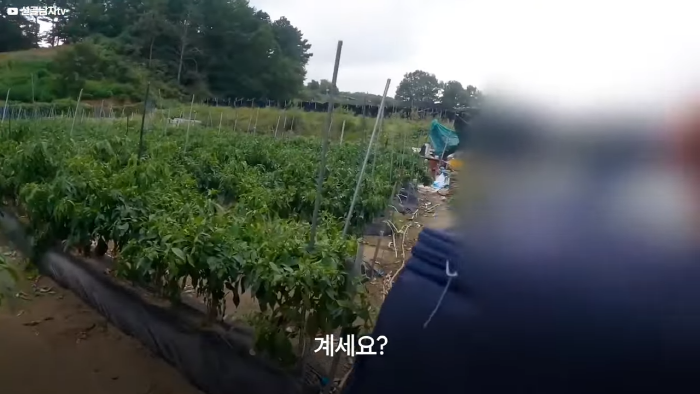 며칠-째-냇가에-방치된-가방,-수상한-느낌에-열어-보니..-34-이미지