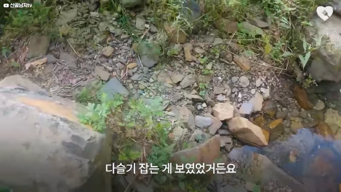 며칠-째-냇가에-방치된-가방,-수상한-느낌에-열어-보니..-8-이미지