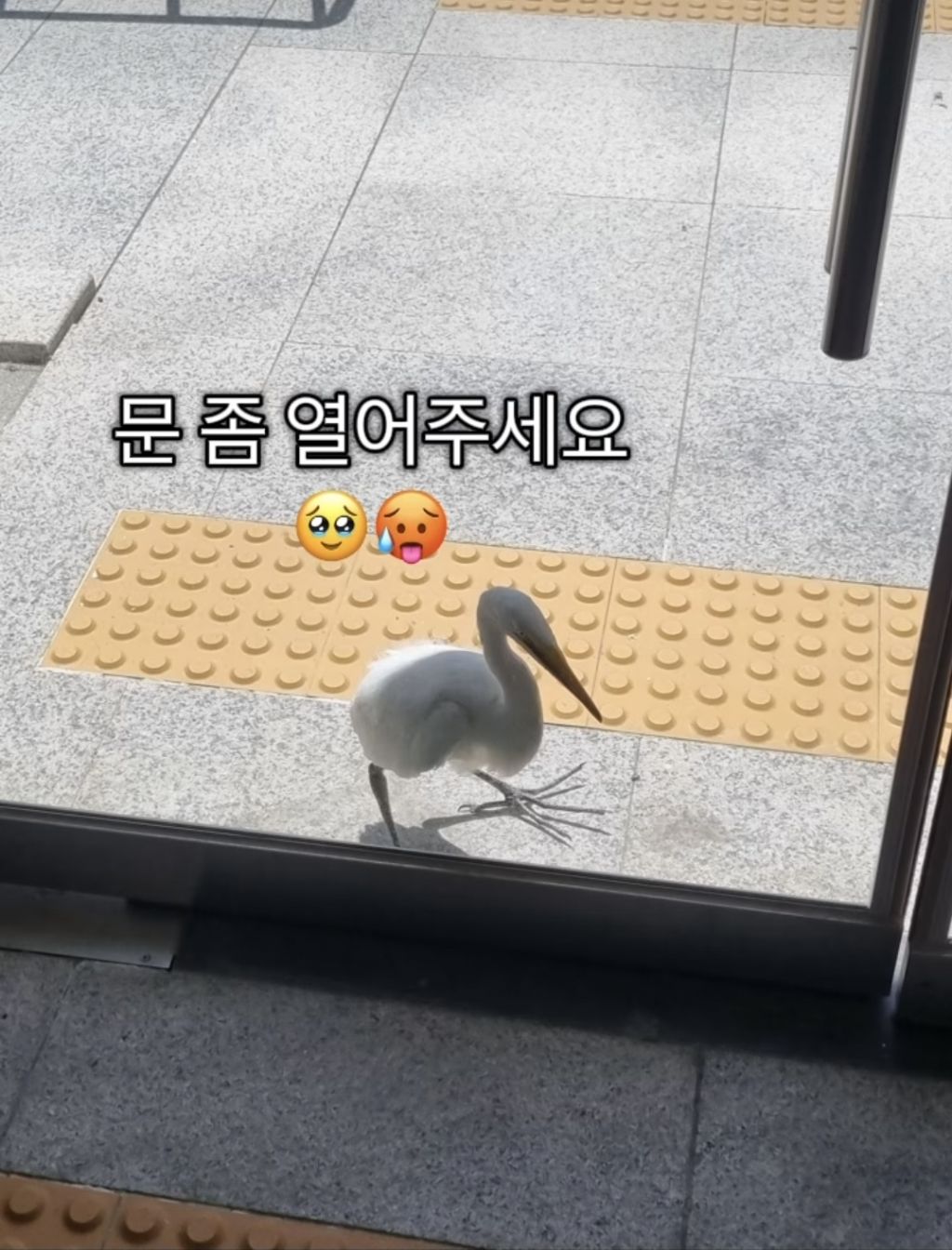 더위에-지친-백로를-위한-워터밤-0-이미지