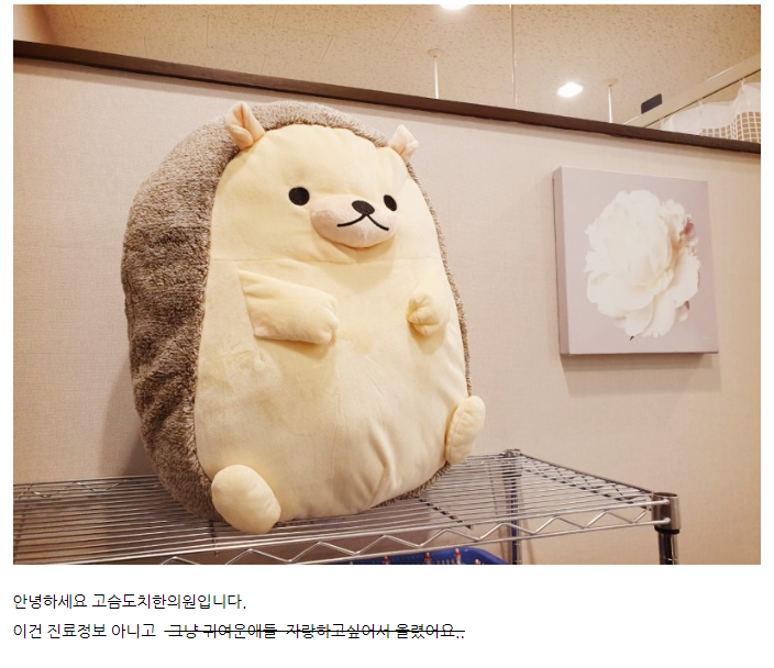 한국에서-제일-귀여운-한의원-3-이미지