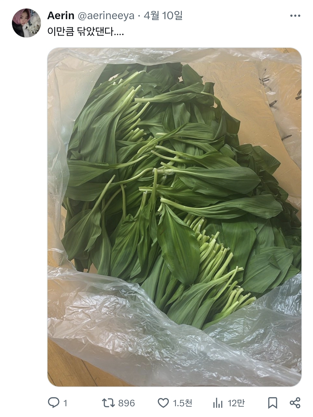 한장-한장-씻고-물기-닦은-명이나물-주겠다는-친구.twt-0-이미지