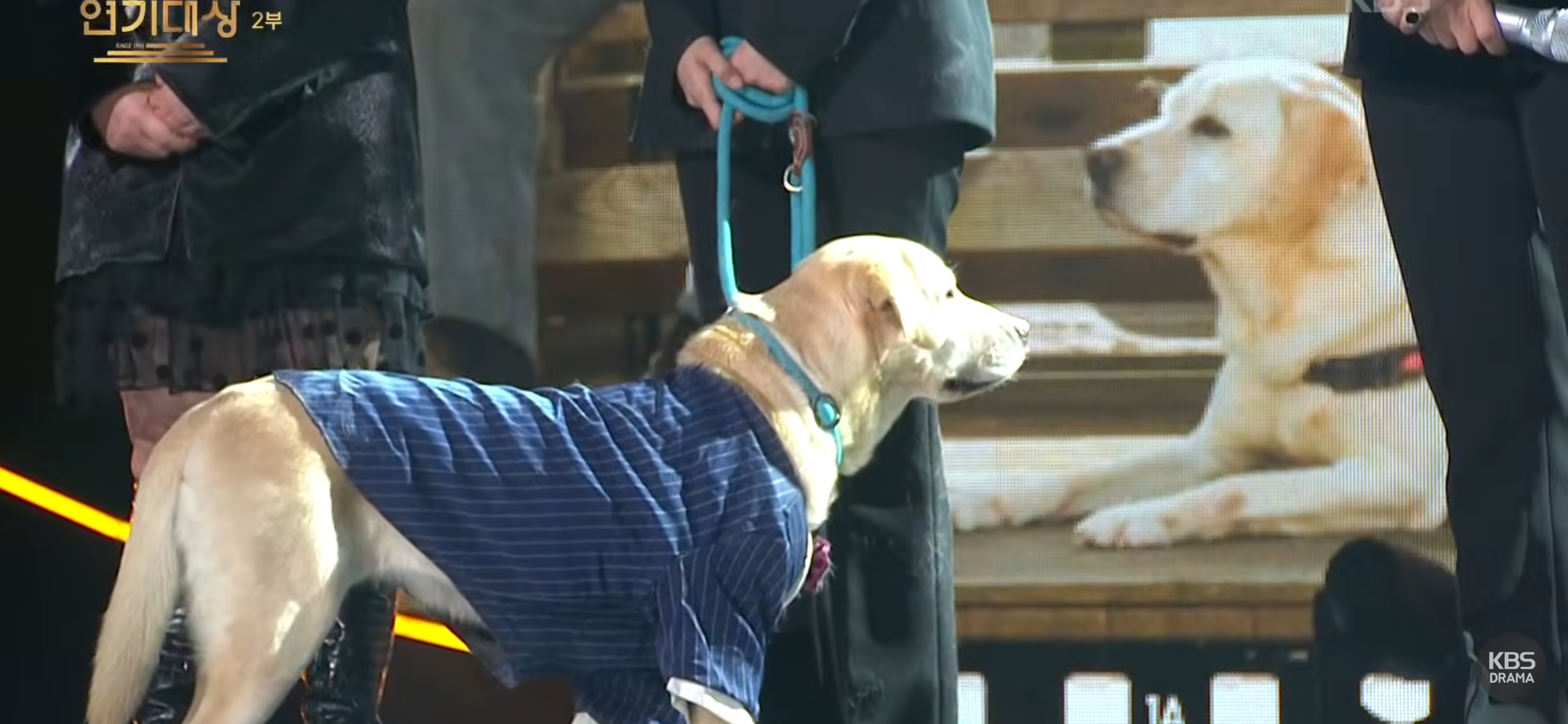 눈물바다가-된-KBS연기대상-이순재-추모-무대.avi-13-이미지