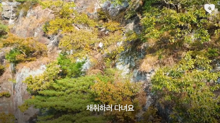 며칠-째-냇가에-방치된-가방,-수상한-느낌에-열어-보니..-1-이미지