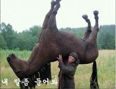 말띠-해가-얼마나-재미난지-아십니까?-10-이미지