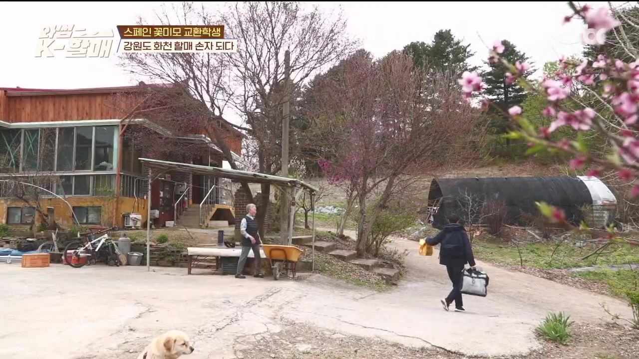 [와썹k할매]-외국인에게-제대로-플렉스하며-챙겨주는-k-할매-87-이미지