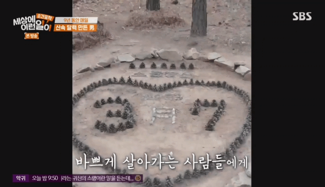 9년동안-매일-바뀌는-산속-의문의-달력.jpg-15-이미지