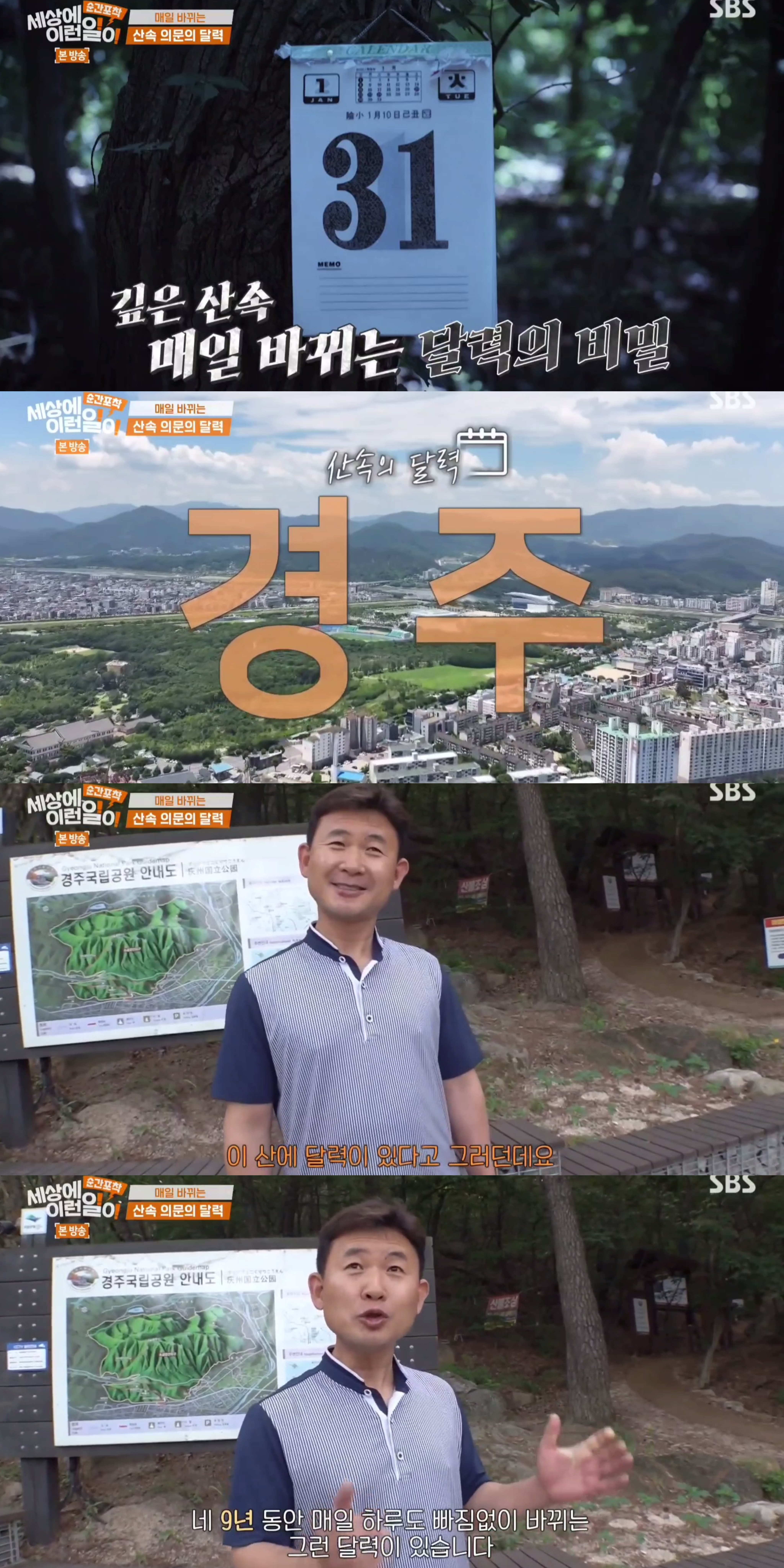 9년동안-매일-바뀌는-산속-의문의-달력.jpg-0-이미지