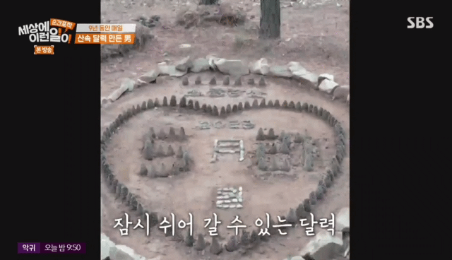 9년동안-매일-바뀌는-산속-의문의-달력.jpg-16-이미지