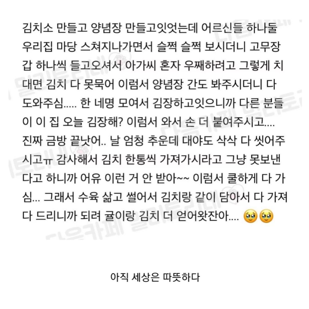 나-혼자-김장하고-있었는데-어르신들이-신경쓰이셨나봐-2-이미지