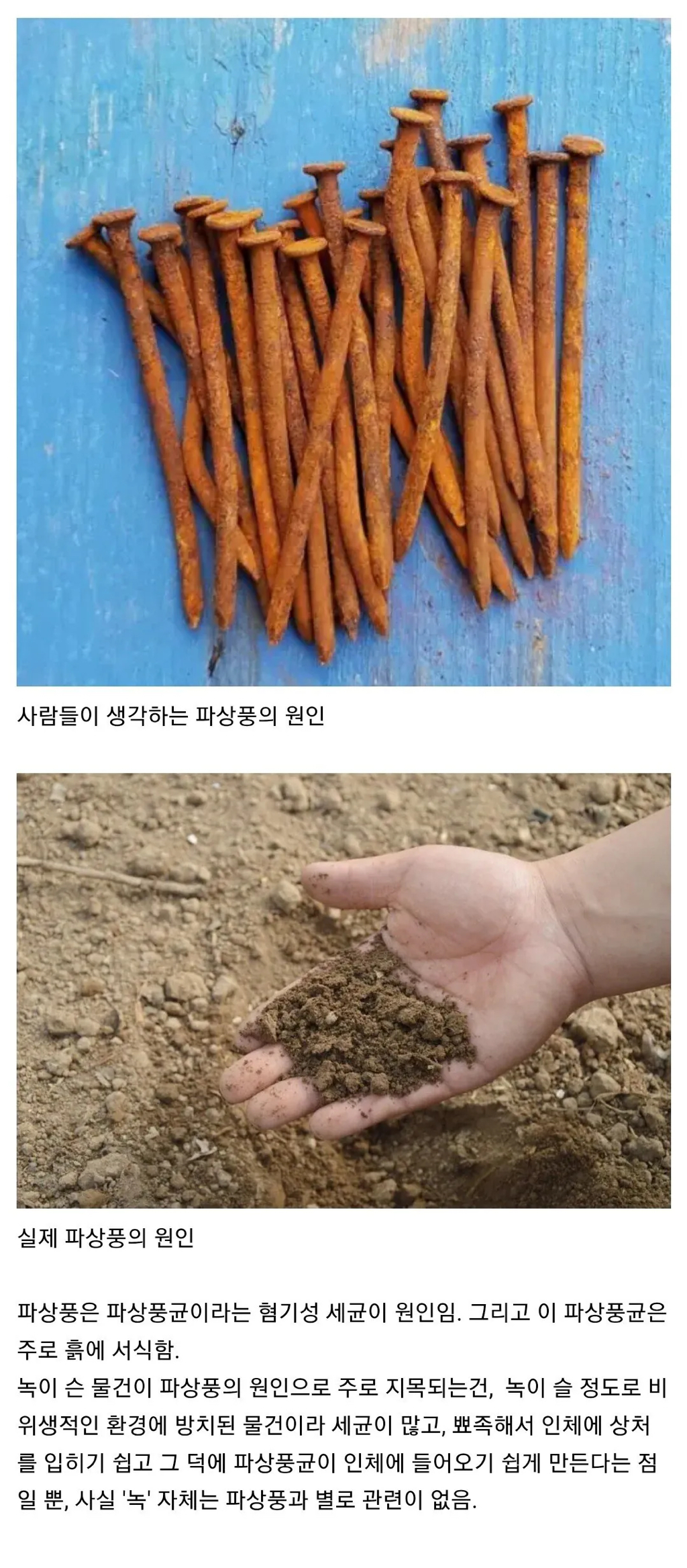 파상풍에-대한-오해-0-이미지