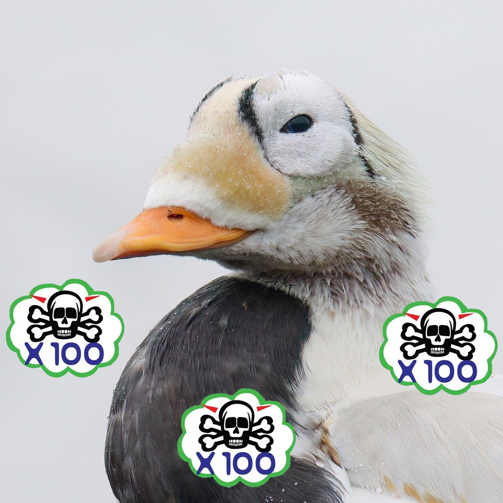 박명수닮음-1-이미지