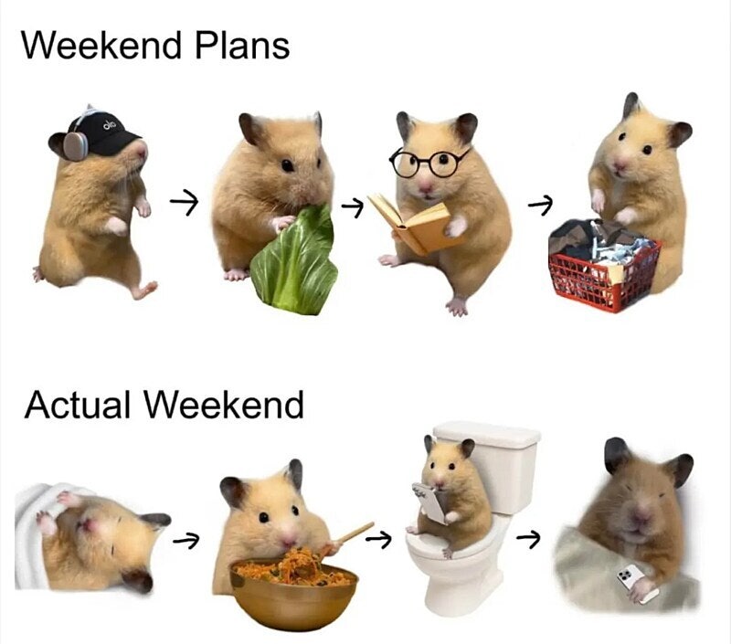 주말-이상과-현실-1-이미지