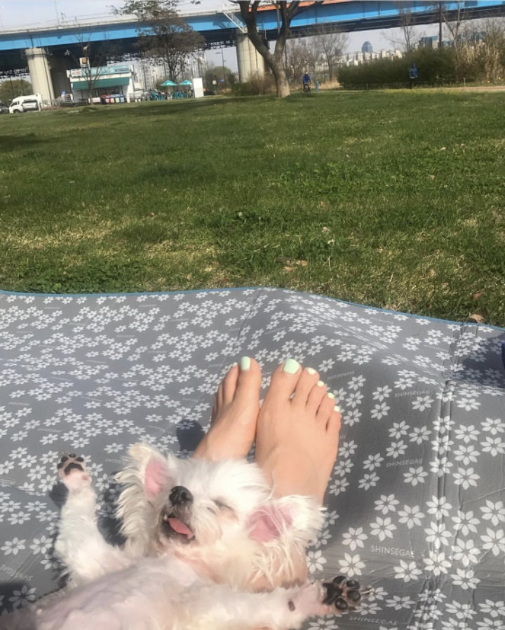 번호따였는데-뭐하녜서-아이스크림먹는다니까-답이없어-0-이미지