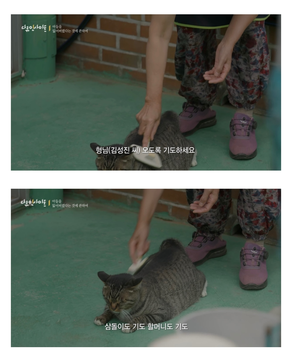 일본으로-등산-갔다가-실종된-아들의-행적을-따라나선-아버지....jpg-10-이미지