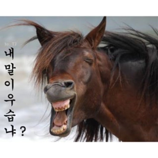 말띠-해가-얼마나-재미난지-아십니까?-16-이미지