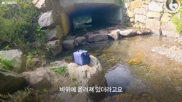 며칠-째-냇가에-방치된-가방,-수상한-느낌에-열어-보니..-6-이미지