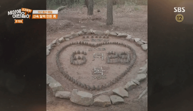 9년동안-매일-바뀌는-산속-의문의-달력.jpg-27-이미지