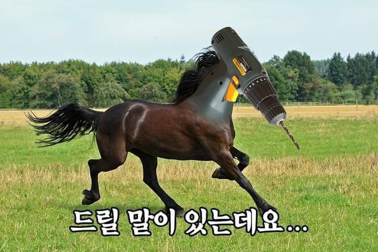말띠-해가-얼마나-재미난지-아십니까?-13-이미지