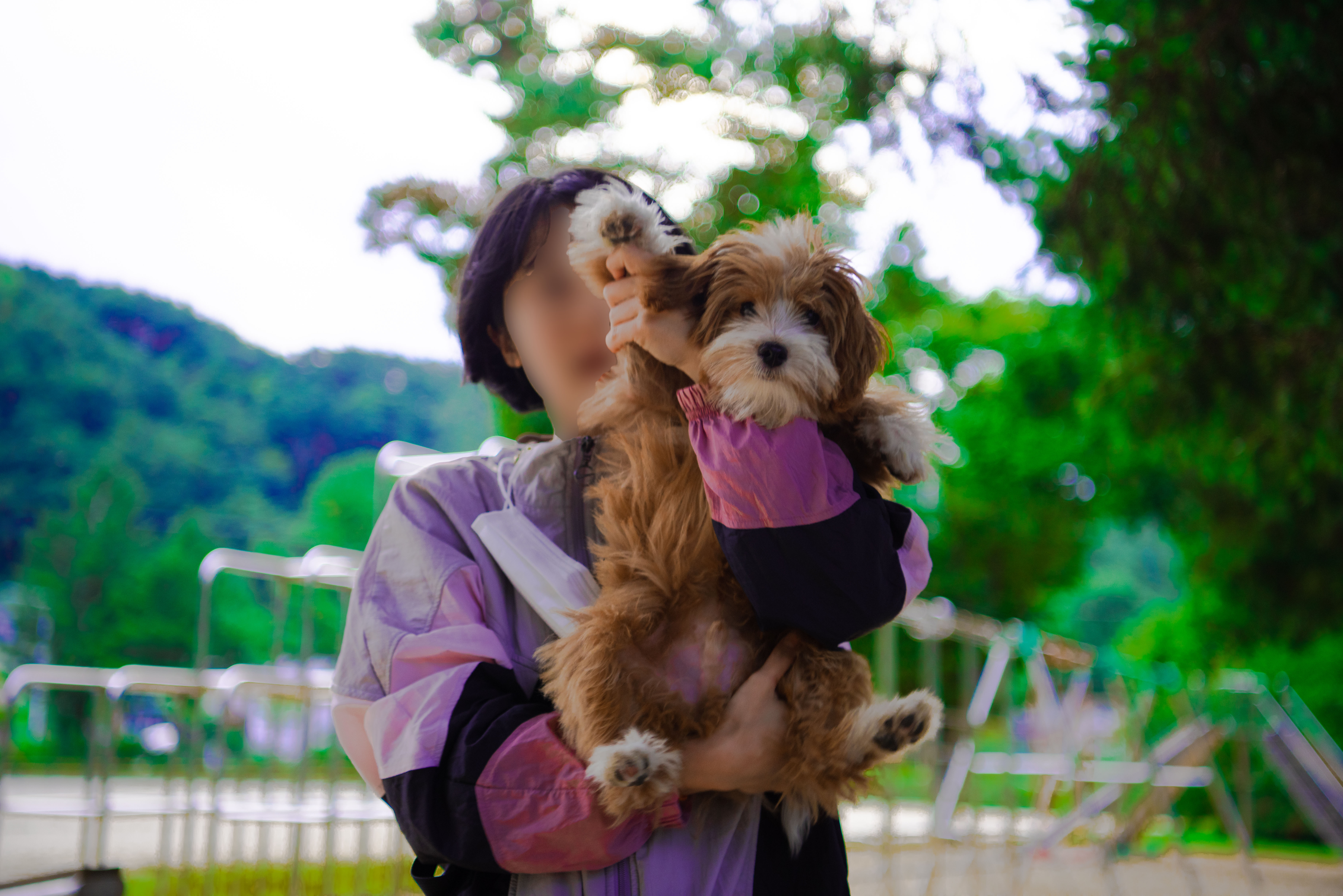 유기견-남매-데려왔는데-너무-귀여워ㅠㅠ-근데-너무-커버렸어;;-4-이미지