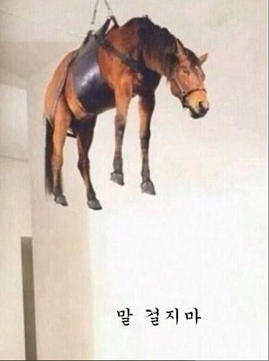 말띠-해가-얼마나-재미난지-아십니까?-11-이미지