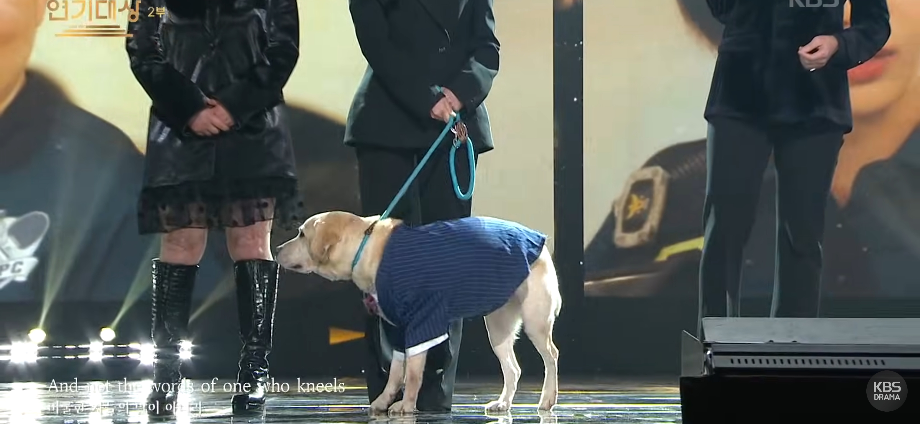 눈물바다가-된-KBS연기대상-이순재-추모-무대.avi-9-이미지