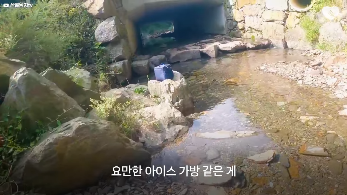 며칠-째-냇가에-방치된-가방,-수상한-느낌에-열어-보니..-5-이미지