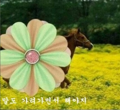 말띠-해가-얼마나-재미난지-아십니까?-7-이미지