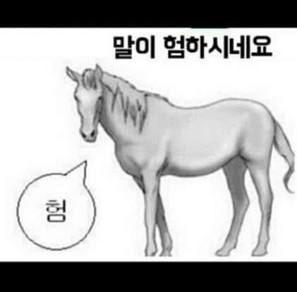 말띠-해가-얼마나-재미난지-아십니까?-3-이미지