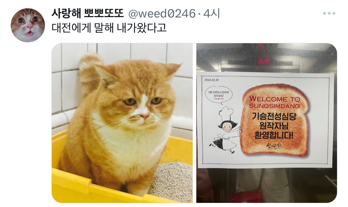 기-승-전-성심당-밈-원작자-나타남...twt-+후기추가-3-이미지