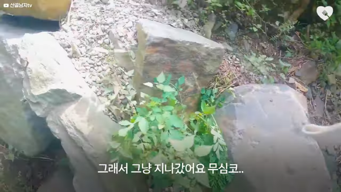 며칠-째-냇가에-방치된-가방,-수상한-느낌에-열어-보니..-9-이미지